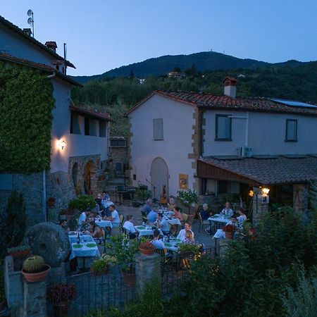 Agriturismo Borgo Mocale Castelfranco di Sopra Екстериор снимка