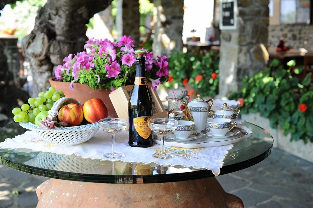 Agriturismo Borgo Mocale Castelfranco di Sopra Екстериор снимка