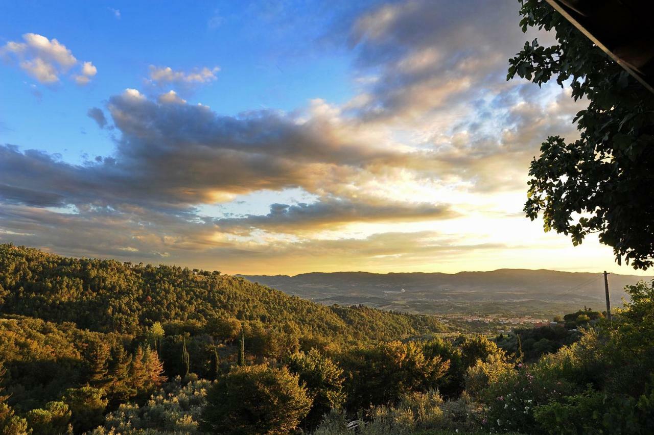 Agriturismo Borgo Mocale Castelfranco di Sopra Екстериор снимка